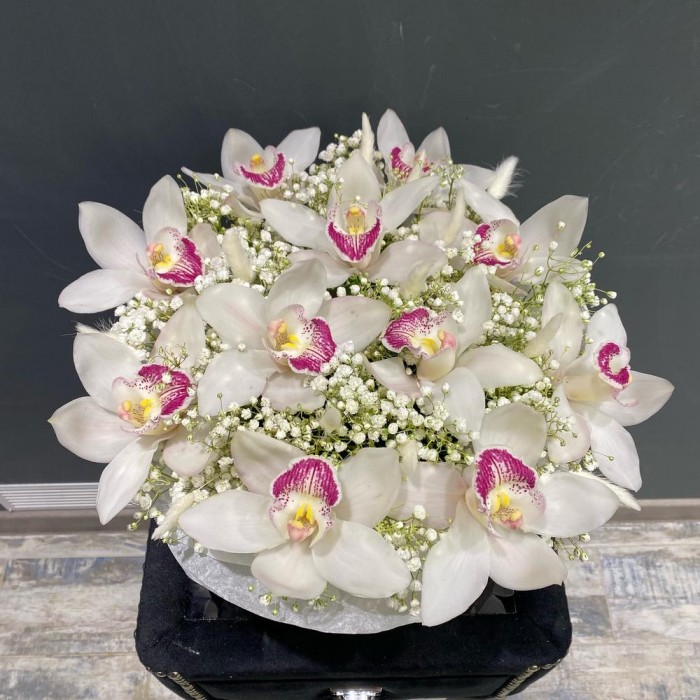 Орхидея в коробке